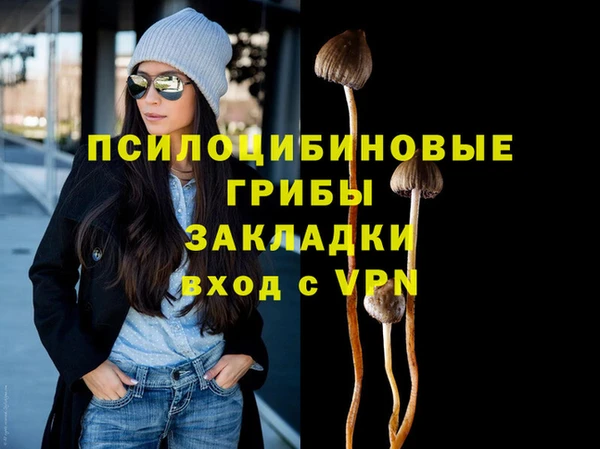 первитин Алексеевка
