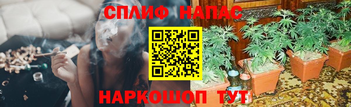 Кемерово  Бошки Шишки конопля  Вход с VPN  Марихуана VHQ 